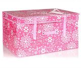 Opened Storage Container