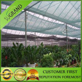 Agricultural 40% Shade Net in Green Color