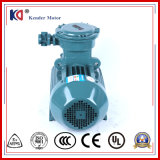 Explosion-Proof Electric Motor with High Quality