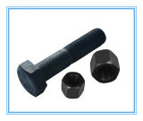 Standard Hex Bolts with Black Finish (M6-M56)