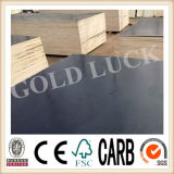Shuttering Board Building Material for Construction
