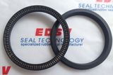 Spring Energized Seal