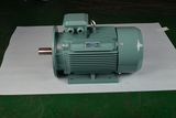 Y2 Series Full Enclosed Electric Motor