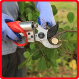 Koham Tools Nectarine Tree Branches Cutting Power Pruner