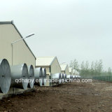 Steel Structure Poultry Control Shed Equipment