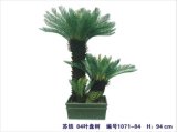 Artificial Plants of Cycas Gu-1071-84