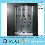 New Indoor Stainless Steel Shower Room (BLS-9614)