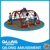Funny Fitness Playground Equipment (QL14-133B)