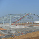 Highly Cost -Effective Steel Poultry House