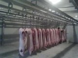 Meat Warehouse