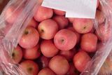 FUJI Apple, Sweet, From China