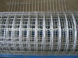 Galvanized Welded Wire Mesh of 1/2 Mesh