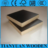 Film Faced Plywood, Wood Plywood Production Line