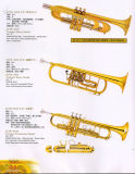 Trumpet Heavey Model (JYTR-A699 JYTR-A450 JYTR-A350)
