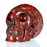 Brecciate Jasper Human Skull for Home Decoration (0V39)
