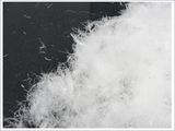 70% Duck Down Washed