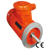 Explosion-Proof Electric Motors Asynchronous Motor