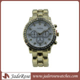 New and Hot Mop Dial Brand Model Lady Watch