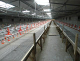 Full Set High Quality Poultry House and Poultry Equipment