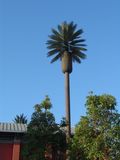 25meters Telecommunication Tower Camouflage Tower