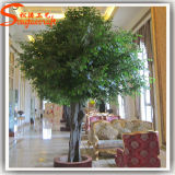 Guangzhou Manufacturer Cheap Artificial Big Ficus Plant Tree