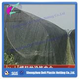 Shade Net