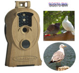 2014 Newest Bird Watching Binoculars Telescope, Digital Hunting Trail Scouting Game Camera with Color Day & Night 10MP Image and 720p HD Video