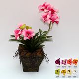 Artificial Potted Flower, Imitative Silk Orchid