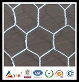 Hexagonal Wire Netting / Animal Netting (20years factory)