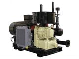 Oil Free Screw Air Compressor