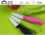 Colorful Handle Ceamic Fruit/Paring/Camping Knife