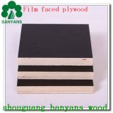 Film Faced Plywood with High Quality