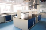 Chemical Resistance Heat -Resistance Laboratory Furniture Lab Bench