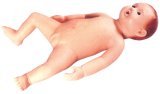 Medical and Teaching Model-Advanced Infant Care Model
