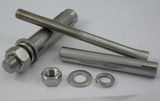 Expansion Bolt (M10*100)