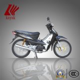 110cc OEM Tiger Cub Bike Scooter Motorcycle (KN110-8)