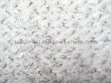 Table Cloth 051