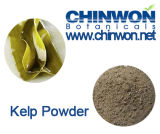 High Quality Herbal Powder Kelp Powder R