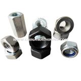 Hexagon Head Nut