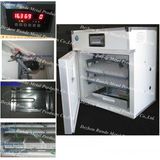 Chicken Egg Incubator