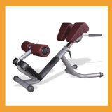 Lower Back Bench Roman Chair Fitness Equipment Gym Equipment -