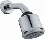 Shower Head with Arm (F-61018)