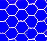 Hexagonal Wire Mesh