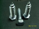 Hex Wood Screw (HYG-007)