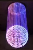 LED Decorative Light / LED Fiber Lighting (YJ-FB080103)