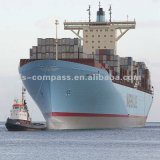 Competitive Shipping Rate From China to Tauranga, New Zealand