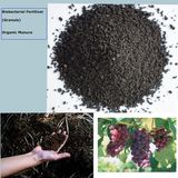 Algae Bio-Organic Fertilizer (granular)