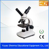 Biological Binocular Microscope (XSP-56)