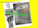 Poultry Equipment