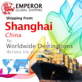 Sea Freight Shipping From Shanghai to Worldwide Destinations